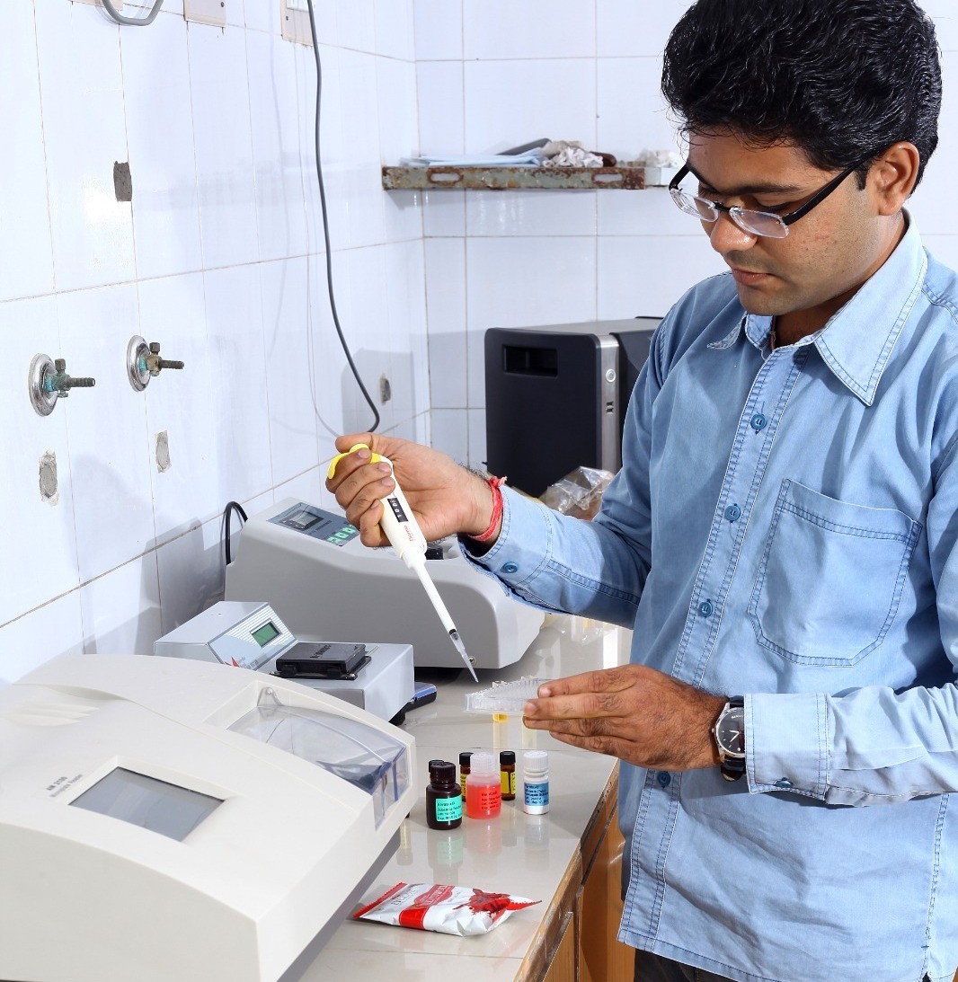 Laboratory Spice Testing